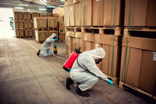 Trusted Tillmans Corner, AL Pest Control Experts