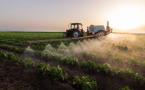Best Pest Prevention Services  in Tillmans Corner, AL