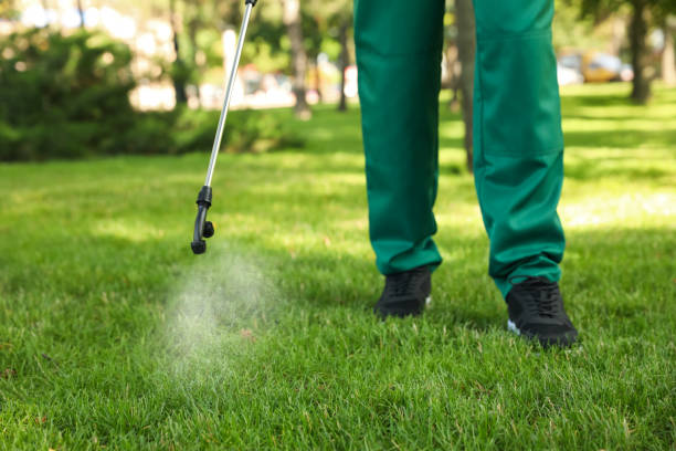 Best Best Pest Control Companies  in Tillmans Corner, AL