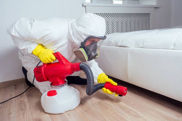 Best Cockroach Control Services  in Tillmans Corner, AL
