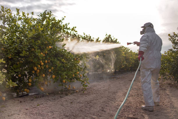 Best Emergency Pest Control  in Tillmans Corner, AL