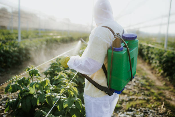 Best Pest Control Near Me  in Tillmans Corner, AL